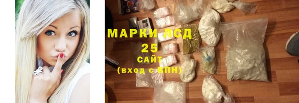 ГАЛЛЮЦИНОГЕННЫЕ ГРИБЫ Вязьма
