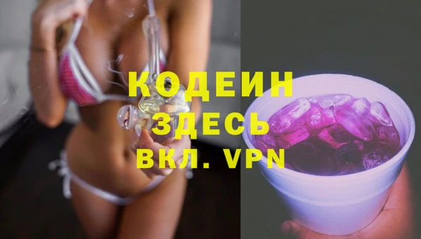 ГАЛЛЮЦИНОГЕННЫЕ ГРИБЫ Вязьма