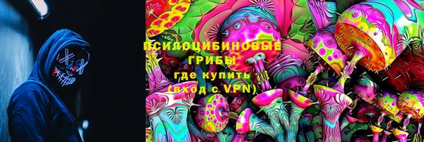 ГАЛЛЮЦИНОГЕННЫЕ ГРИБЫ Вязьма