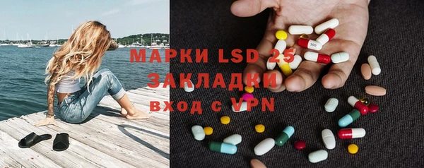 ГАЛЛЮЦИНОГЕННЫЕ ГРИБЫ Вязьма