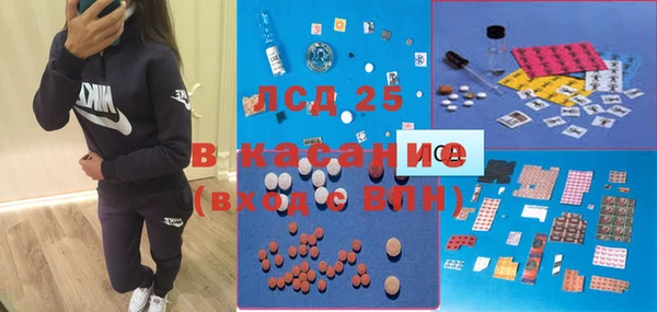 ГАЛЛЮЦИНОГЕННЫЕ ГРИБЫ Вязьма
