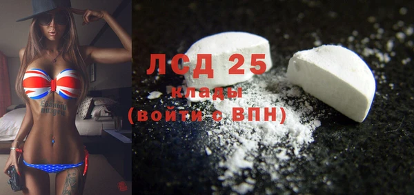 ГАЛЛЮЦИНОГЕННЫЕ ГРИБЫ Вязьма